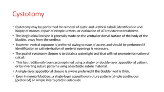 Comprehensive Surgical Techniques for Urethrotomy, Urethrostomy, and ...