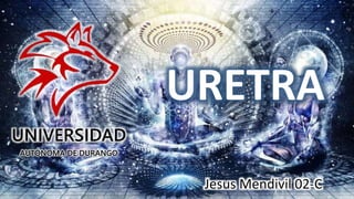 URETRA
Jesus Mendivil 02-C
UNIVERSIDAD
AUTÓNOMA DE DURANGO
 