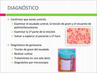 DIAGNÓSTICO Confirmar que existe uretritis Examinar el exudado uretral, la tinción de gram y el recuento de polimorfonucleares Examinar la 1ª parte de la micción Volver a explorar al paciente a 1ª hora  Diagnóstico de gonococia Tinción de gram del exudado Realizar cultivo Tratamiento en una sola dosis Diagnóstico por microscopía 