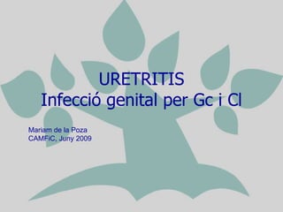 URETRITIS Infecció genital per Gc i Cl Mariam de la Poza CAMFiC, Juny 2009 