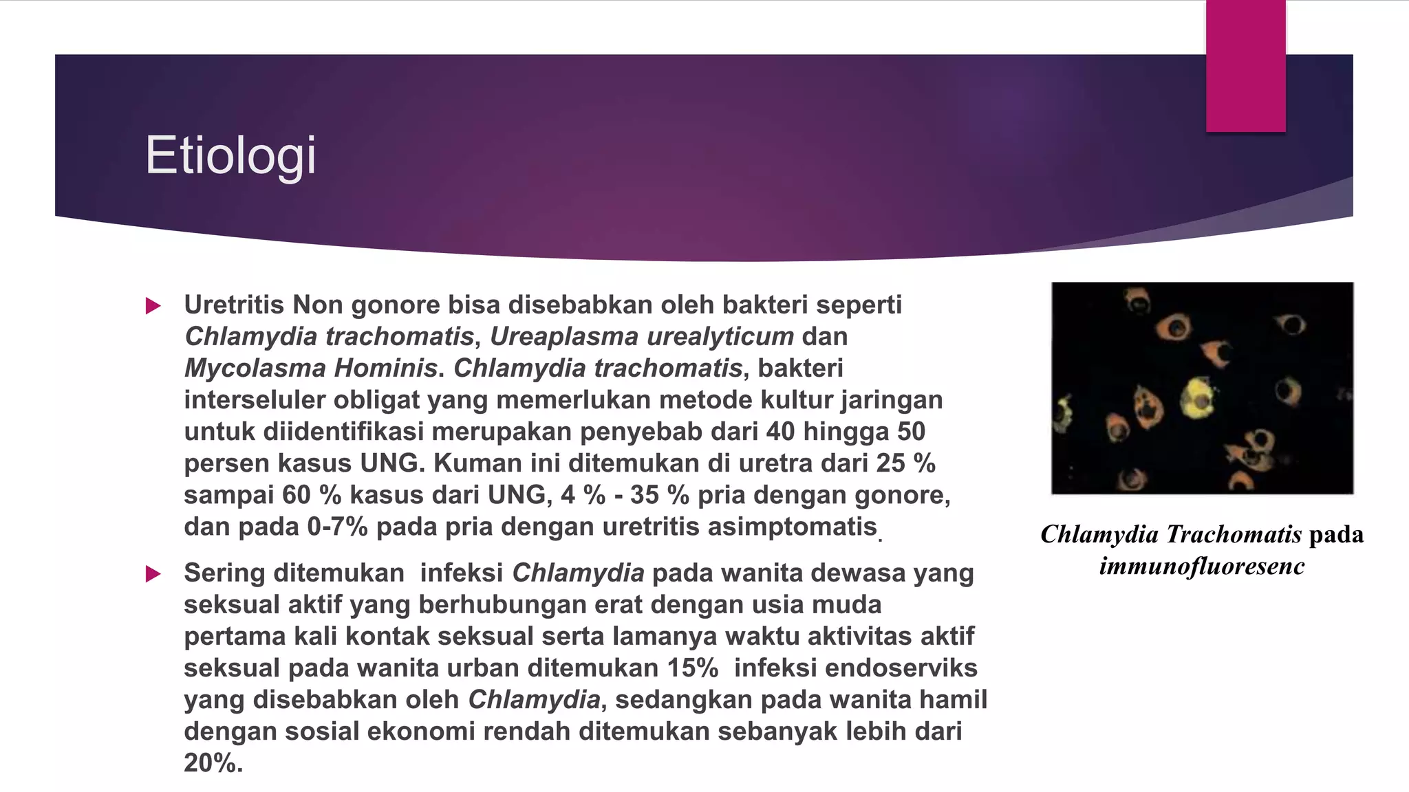 Etiologi
 Uretritis Non gonore bisa disebabkan oleh bakteri seperti
Chlamydia trachomatis, Ureaplasma urealyticum dan
Mycolasma Hominis. Chlamydia trachomatis, bakteri
interseluler obligat yang memerlukan metode kultur jaringan
untuk diidentifikasi merupakan penyebab dari 40 hingga 50
persen kasus UNG. Kuman ini ditemukan di uretra dari 25 %
sampai 60 % kasus dari UNG, 4 % - 35 % pria dengan gonore,
dan pada 0-7% pada pria dengan uretritis asimptomatis.
 Sering ditemukan infeksi Chlamydia pada wanita dewasa yang
seksual aktif yang berhubungan erat dengan usia muda
pertama kali kontak seksual serta lamanya waktu aktivitas aktif
seksual pada wanita urban ditemukan 15% infeksi endoserviks
yang disebabkan oleh Chlamydia, sedangkan pada wanita hamil
dengan sosial ekonomi rendah ditemukan sebanyak lebih dari
20%.
Chlamydia Trachomatis pada
immunofluoresenc
 