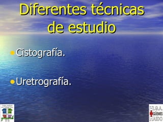 Diferentes técnicas de estudio Cistografía. Uretrografía. 