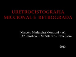 Marcelo Madureira Montroni – A1
Drª Carolina B. M. Salazar – Preceptora
2013
 