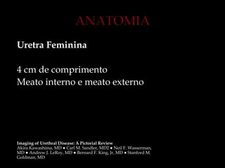 Uretra Feminina
4 cm de comprimento
Meato interno e meato externo
Imaging of Urethral Disease: A Pictorial Review
Akira Kawashima, MD ● Carl M. Sandler, MD2 ● Neil F. Wasserman,
MD ● Andrew J. LeRoy, MD ● Bernard F. King, Jr, MD ● Stanford M.
Goldman, MD
 