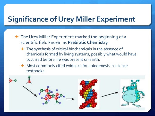 urey and miller The miller-urey experiment the experiment itself t he understanding of the origin of life was largely speculative until the 1920s, when oparin and haldane, working. urey and miller The miller-urey experiment the experiment itself t he understanding of the origin of life was largely speculative until the 1920s, when oparin and haldane, working.