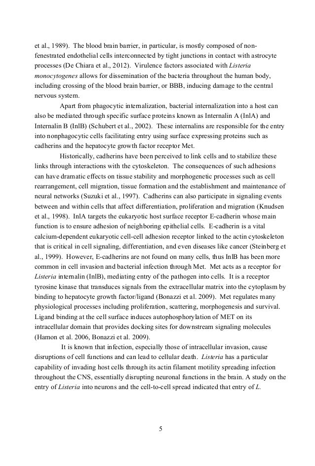 about respect essay hobby playing badminton