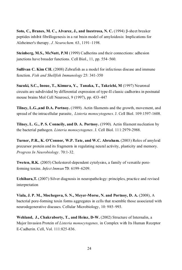 global citizen essay wikipedia