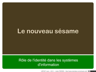 MMORPGURFIST Lyon – 2010  – Julien PIERRE – http://www.identites-numeriques.net/ - 27/100