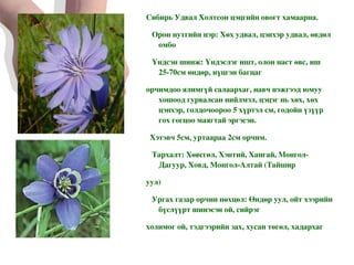 Сибирь Удвал Холтсон цэцгийн овогт хамаарна. Орон нутгийн нэр: Хөх удвал, цэнхэр удвал, өвдөл омбо Үндсэн шинж: Үндэслэг ишт, олон наст өвс, иш 25-70см өндөр, нүцгэн багцаг орчимдоо ялимгүй салаархаг, навч нэжгээд юмуу хошоод гурвалсан нийлмэл, цэцэг нь хөх, хөх цэнхэр, голдочоороо 5 хүртэл см, годойн үзүүр гох гогцоо маягтай эргэсэн. Хэтэвч 5см, уртаараа 2см орчим. Тархалт: Хөвсгөл, Хэнтий, Хангай, Монгол-Дагуур, Ховд, Монгол-Алтай (Тайшир уул) Ургах газар орчин нөхцөл: Өндөр уул, ойт хээрийн бүслүүрт шинэсэн ой, сийрэг холимог ой, тэдгээрийн зах, хусан төгөл, хадархаг хажуу, өндөр уулын таг, цармын нуга, нураг, гол горхины эрэг, үхэр чулуудын дунд ургана 