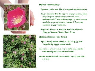 Өргөст Нохойнхошуу Орон нутгийн нэр: Өргөст сарнай, нохойн хошуу Үндсэн шинж: Иш 2м хүртэл өндөр, хүрэн улаан юмуу хүрэн, өргөс шивүүр ихтэй, сөөг, навчинцар 5-7, гонзгой-өндгөрхүү, цэцэг ягаан, дэлбийн хэлтэсзүрхэрхүү, цэцэг 1-3, мөчир салааны үзүүрт оршино. Тархалт: Хөвсгөл, Хэнтий, Хангай, Монгол-Дагуур, Хянган, Ховд, Дунд Халх, Дорнод-Монгол, Говь-Алтай Ургах газар орчин нөхцөл: Ойт хээр, уулын хээрийн бүслүүрт шинэсэн ой, нарсан ой, хусан төгөл, тэдгээрийн зах, эргийн сөөгөн ширэнгэ, татмын ой, байц цохио, өнчин толгой, асга, нураг, чулуудын дунд ургана 