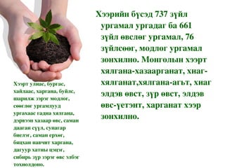 Хээрийн бүсэд 737 зүйл ургамал ургадаг ба 661 зүйл өвслөг ургамал, 76 зүйлсөөг, модлог ургамал зонхилно. Монголын хээрт хялгана-хазаарганат, хиаг-хялганат,хялгана-агьт, хиаг элдэв өвст, зүр өвст, элдэв өвс-үетэнт, харганат хээр зонхилно. Хээрт улиас, бургас, хайлаас, харгана, буйлс, шарилж зэрэг модлог, сөөглөг ургамлууд ургахаас гадна хялгана, дэрвээн хазаар өвс, саман дааган сүүл, сунагар биелэг, саман ерхөг, бяцхан навчит харгана, дагуур хатны цэцэг, сибирь зүр зэрэг өвс элбэг тохиолдоно. 
