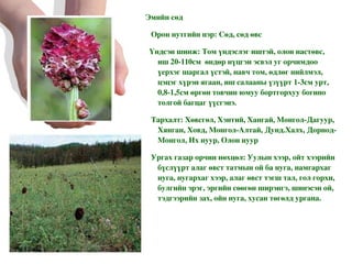 Эмийн сөд Орон нутгийн нэр: Сөд, сөд өвс Үндсэн шинж: Том үндэслэг иштэй, олон настөвс, иш 20-110см  өндөр нүцгэн эсвэл уг орчимдоо үерхэг шаргал үстэй, навч том, өдлөг нийлмэл, цэцэг хүрэн ягаан, иш салааны үзүүрт 1-3см урт, 0,8-1,5см өргөн товчин юмуу бортгорхуу богино толгой багцаг үүсгэнэ. Тархалт: Хөвсгөл, Хэнтий, Хангай, Монгол-Дагуур, Хянган, Ховд, Монгол-Алтай, Дунд.Халх, Дорнод-Монгол, Их нуур, Олон нуур Ургах газар орчин нөхцөл: Уулын хээр, ойт хээрийн бүслүүрт алаг өвст татмын ой ба нуга, намгархаг нуга, нугархаг хээр, алаг өвст тэгш тал, гол горхи, булгийн эрэг, эргийн сөөгөн ширэнгэ, шинэсэн ой, тэдгээрийн зах, ойн нуга, хусан төгөлд ургана. 