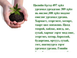 Цөлийн бүсэд 497 зүйл ургамал ургадгаас 389 зүйл нь өвслөг,108 зүйл модлог сөөглөг ургамал ургана. Хармагт, зээргэнэт, хотирт, таарт цөл зонхилно. Цөлд тоорой, хайлас, жигд, заг, сухай, хармаг зэрэг мод сөөг, зээргэнэ, хотир, боролзой, бударгана, ортууз, сухай, зэгс, шагшуурга зэрэг ургамал ургана. Говийн баян бүрдэд ургамал элбэг ургана. 