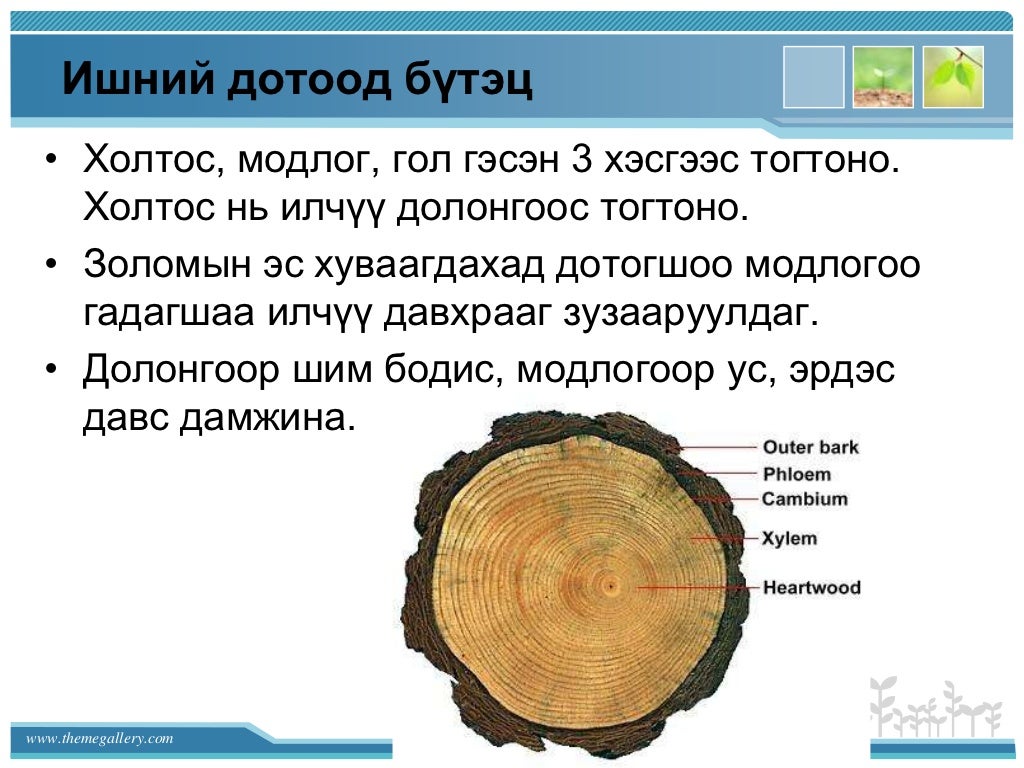 Эрдэнэмандал ахлах сургууль хими - биологийн багш Б. Оюун