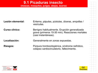 9.1 Picaduras insecto  (moscas, mosquitos, pulgas, abejas, ácaros) Lesión elemental: Eritema, pápulas, pústulas, úlceras, ampollas /  vesículas. Curso clínico: Benigno habitualmente. Erupción generalizada  grave (primeros 10-30 min). Reacciones mortales  (casi instantáneas). Localización: Generalmente en zonas expuestas. Riesgos: Púrpura trombocitopénica, síndrome nefrótico,  colapso cardiocirculatorio, fallecimiento. 