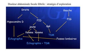 Douleur abdominale focale fébrile : stratégie d’exploration
 