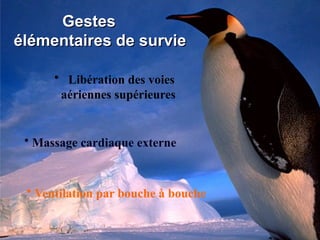 Gestes
élémentaires de survie
• Ventilation par bouche à bouche
• Libération des voies
aériennes supérieures
• Massage cardiaque externe
 