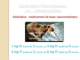 1 mg IV toutes les 3 minutes ou 3 mg IV toutes les 5 minutes
Adrénaline intraveineuse
ou …intratrachéale
Adrénaline : médicament de base vasoconstricteur
.
. augmente l'efficacité du MCE
augmente le débit coronarien
augmente le débit cérébrale
2 mg IT toutes les 3 minutes ou 6 mg IT toutes les 5 minutes
 