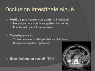 Occlusion intestinale aiguë
ž  Arrêt de progression du contenu intestinal
—  Mécanique : obstacle / strangulation / ischémie…
—  Fonctionnel : primitif / secondaire
ž  Conséquences :
—  Troisième secteur / déshydratation / IRA / choc
—  Souffrance tissulaire / péritonite
ž  Bilan lésionnel et évolutif : TDM
 