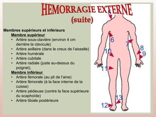 117
Membres supérieurs et inférieurs
Membre supérieur
• Artère sous-clavière (environ 4 cm
derrière la clavicule)
• Artère axillaire (dans le creux de l’aisselle)
• Artère humérale
• Artère cubitale
• Artère radiale (juste au-dessus du
poignet),
Membre inférieur
• Artère fémorale (au pli de l’aine)
• Artère fémorale (à la face interne de la
cuisse)
• Artère pédieuse (contre la face supérieure
du scaphoïde)
• Artère tibiale postérieure
 
