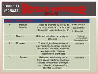 Grades Envenimation Tableau clinique Traitement
0 Morsure
blanche
Traces de crochets au niveau de
la morsure, absence d’œdème ou
de réaction locale au bout de 6h
Soins Locaux
Surveillance
4 -6 heures
1 Mineure Œdème local, absence de signes
généraux
Traitement
symptomatique
Hospitalisation 24h
2 Modérée Œdème régional du membre et/
ou symptômes généraux modérés
(hypotension modérée, malaises,
vomissements, douleurs
abdominales, diarrhées)
Antivenin
3 Sévère Œdème extensif atteignant le
tronc et/ou symptômes généraux
sévères (hypotension prolongée,
choc, réaction anaphylactoïde,
Antivenin
atteintes viscérales)
 