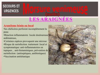 LES ARAIGNÉES
Aranéisme bénin ou local
•les chélicères perforent incomplètement la
peau
•Réaction inflammatoire locale douloureuse et
œdémateuse,
•Certaines espèces provoquent une nécrose
•Risque de surinfection. traitement :local et
symptomatique: anti-inflammatoires en
topiques , anti-histaminiques, prévention de la
surinfection (antiseptiques, antibiotiques)
•Vaccination antitétanique
 