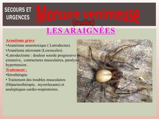 LES ARAIGNÉES
Aranéisme grave
•Aranéisme neurotoxique ( Latrodectus).
•Aranéisme nécrosant (Loxosceles).
•Latrodectisme : douleur sourde progressive et
extensive, contractures musculaires, paralysie,
hypertension .
Traitement :
•Sérothérapie
• Traitement des troubles musculaires
(Héparinothérapie, myorelaxants) et
analeptiques cardio-respiratoires.
 
