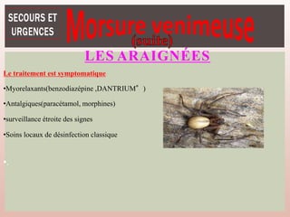 LES ARAIGNÉES
Le traitement est symptomatique
•Myorelaxants(benzodiazépine ,DANTRIUM°)
•Antalgiques(paracétamol, morphines)
•surveillance étroite des signes
•Soins locaux de désinfection classique
•.
 