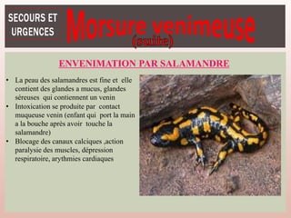 ENVENIMATION PAR SALAMANDRE
• La peau des salamandres est fine et elle
contient des glandes a mucus, glandes
séreuses qui contiennent un venin
• Intoxication se produite par contact
muqueuse venin (enfant qui port la main
a la bouche après avoir touche la
salamandre)
• Blocage des canaux calciques ,action
paralysie des muscles, dépression
respiratoire, arythmies cardiaques
 