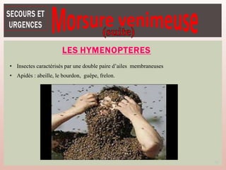 LES HYMENOPTERES
• Insectes caractérisés par une double paire d’ailes membraneuses
• Apidés : abeille, le bourdon, guêpe, frelon.
59
 