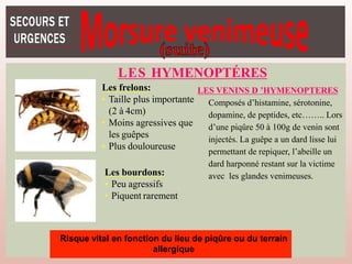 LES HYMENOPTÉRES
Les frelons:
• Taille plus importante
(2 à 4cm)
• Moins agressives que
les guêpes
• Plus douloureuse
Les bourdons:
• Peu agressifs
• Piquent rarement
Risque vital en fonction du lieu de piqûre ou du terrain
allergique
LES VENINS D ’HYMENOPTERES
Composés d’histamine, sérotonine,
dopamine, de peptides, etc…….. Lors
d’une piqûre 50 à 100g de venin sont
injectés. La guêpe a un dard lisse lui
permettant de repiquer, l’abeille un
dard harponné restant sur la victime
avec les glandes venimeuses.
 