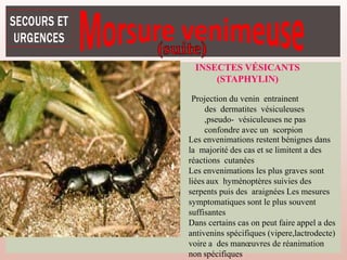 INSECTES VÉSICANTS
(STAPHYLIN)
Projection du venin entrainent
des dermatites vésiculeuses
,pseudo- vésiculeuses ne pas
confondre avec un scorpion
Les envenimations restent bénignes dans
la majorité des cas et se limitent a des
réactions cutanées
Les envenimations les plus graves sont
liées aux hyménoptères suivies des
serpents puis des araignées Les mesures
symptomatiques sont le plus souvent
suffisantes
Dans certains cas on peut faire appel a des
antivenins spécifiques (vipere,lactrodecte)
voire a des manœuvres de réanimation
non spécifiques
 