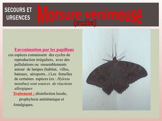 Envenimation par les papillons
ces espèces connaissent des cycles de
reproduction irréguliers, avec des
pullulations ou rassemblements
autour de lampes (habitat, villes,
bateaux, aéroports...) Les femelles
de certaines espèces (ex : Hylesia
metabus) sont sources de réactions
allergiques
Traitement : désinfection locale,
prophylaxie antitétanique et
Antalgiques.
 
