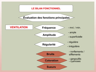 VENTILATION
LE BILAN FONCTIONNEL
Évaluation des fonctions principales
Amplitude
Régularité
Fréquence
Bruits
Coloration
Sueurs
- ample
- superficielle
- régulière
- irrégulière
- mvt. / min.
- cyanoses
- ronflements /
sifflements
- gargouillis
 