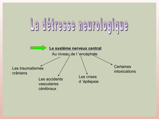 Le système nerveux central
Au niveau de l ’encéphale
Les traumatismes
crâniens
Les accidents
vasculaires
cérébraux
Les crises
d ’épilepsie
Certaines
intoxications
 