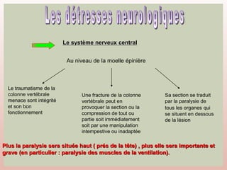 Le système nerveux central
Au niveau de la moelle épinière
Le traumatisme de la
colonne vertébrale
menace sont intégrité
et son bon
fonctionnement
Une fracture de la colonne
vertébrale peut en
provoquer la section ou la
compression de tout ou
partie soit immédiatement
soit par une manipulation
intempestive ou inadaptée
Sa section se traduit
par la paralysie de
tous les organes qui
se situent en dessous
de la lésion
Plus la paralysie sera située haut ( prés de la tête) , plus elle sera importante et
grave (en particulier : paralysie des muscles de la ventilation).
 