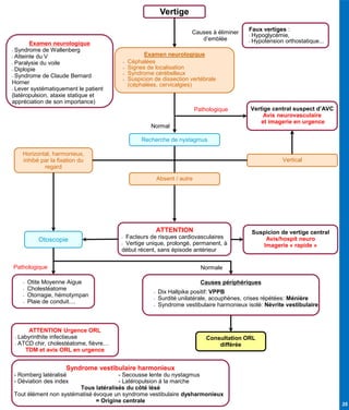 35
Causes à éliminer
d’emblée
Examen neurologique
• Céphalées
• Signes de localisation
• Syndrome cérébelleux
• Suspicion de dissection vertébrale
(céphalées, cervicalgies)
Vertige
Otoscopie
Faux vertiges :
• Hypoglycémie,
• Hypotension orthostatique...
Suspicion de vertige central
Avis/hospit neuro
Imagerie « rapide »
Pathologique
• Otite Moyenne Aigue
• Cholestéatome
• Otorragie, hémotympan
• Plaie de conduit....
Pathologique
ATTENTION Urgence ORL
• Labyrinthite infectieuse
• ATCD chir, cholestéatome, fièvre…
TDM et avis ORL en urgence
Normal
Horizontal, harmonieux,
inhibé par la fixation du
regard
Causes périphériques
• Dix Hallpike positif: VPPB
• Surdité unilatérale, acouphènes, crises répétées: Ménière
• Syndrome vestibulaire harmonieux isolé: Névrite vestibulaire
Consultation ORL
différée
ATTENTION
• Facteurs de risques cardiovasculaires
• Vertige unique, prolongé, permanent, à
début récent, sans épisode antérieur
Examen neurologique
• Syndrome de Wallenberg
• Atteinte du V
• Paralysie du voile
• Diplopie
• Syndrome de Claude Bernard
Horner
• Lever systématiquement le patient
(latéropulsion, ataxie statique et
appréciation de son importance)
Syndrome vestibulaire harmonieux
- Romberg latéralisé - Secousse lente du nystagmus
- Déviation des index - Latéropulsion à la marche
Tous latéralisés du côté lésé
Tout élément non systématisé évoque un syndrome vestibulaire dysharmonieux
= Origine centrale
Vertige central suspect d’AVC
Avis neurovasculaire
et imagerie en urgence
Recherche de nystagmus
Vertical
Normale
Absent / autre
 
