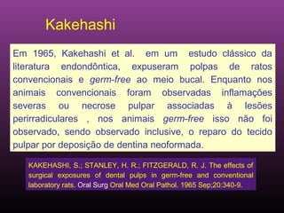 Kakehashi
Em 1965, Kakehashi et al. em um estudo clássico da
literatura endondôntica, expuseram polpas de ratos
convencionais e germ-free ao meio bucal. Enquanto nos
animais convencionais foram observadas inflamações
severas ou necrose pulpar associadas à lesões
perirradiculares , nos animais germ-free isso não foi
observado, sendo observado inclusive, o reparo do tecido
pulpar por deposição de dentina neoformada.

   KAKEHASHI, S.; STANLEY, H. R.; FITZGERALD, R. J. The effects of
   surgical exposures of dental pulps in germ-free and conventional
   laboratory rats. Oral Surg Oral Med Oral Pathol. 1965 Sep;20:340-9.
 