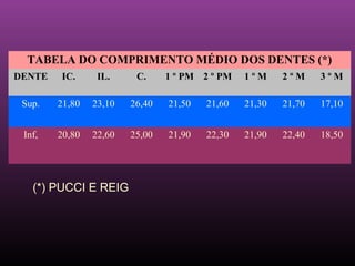 TABELA DO COMPRIMENTO MÉDIO DOS DENTES (*)
DENTE   IC.      IL.     C.     1 º PM 2 º PM   1ºM     2ºM     3ºM

 Sup.   21,80   23,10   26,40   21,50   21,60   21,30   21,70   17,10


 Inf,   20,80   22,60   25,00   21,90   22,30   21,90   22,40   18,50




   (*) PUCCI E REIG
 