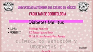 Diabetes Mellitus
• ALUMNA: Guadalupe Nava Ayala
• PROFESORES: C.D Rebeca Alquicira Galván
M. En C. FA. Juan Fernando Pérez Acevedo
OCTUBRE 2020
 
