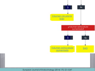 ¿Volumen extracelular
aumentado?
Si
Si
Volumen circulante
bajo
Volumen extracelular
aumentado
SIAD
European Journal of Endocrinology (2014) 170, G1–G47
 
