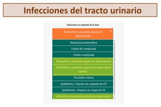 Infecciones del tracto urinario
 