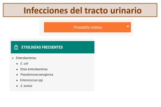 Infecciones del tracto urinario
 
