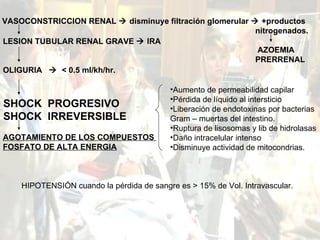 VASOCONSTRICCION RENAL    disminuye filtración glomerular    +productos nitrogenados. AZOEMIA  PRERRENAL LESION TUBULAR RENAL GRAVE    IRA OLIGURIA     < 0.5 ml/kh/hr. AGOTAMIENTO DE LOS COMPUESTOS  FOSFATO DE ALTA ENERGIA SHOCK  PROGRESIVO SHOCK  IRREVERSIBLE Aumento de permeabilidad capilar Pérdida de líquido al intersticio Liberación de endotoxinas por bacterias Gram – muertas del intestino. Ruptura de lisosomas y lib de hidrolasas Daño intracelular intenso Disminuye actividad de mitocondrias. HIPOTENSIÓN cuando la pérdida de sangre es > 15% de Vol. Intravascular. 