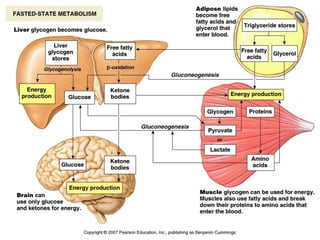 Gutierrez Vazquez I, "Protocolo del manejo de las complicaciones agudas de la DM", Medicina
                                                                       de Urgencias, (2010)   12
 