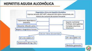 HEPATITIS AGUDA ALCOHÓLICA
 