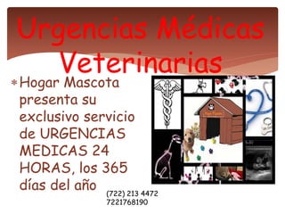 Hogar Mascota
presenta su
exclusivo servicio
de URGENCIAS
MEDICAS 24
HORAS, los 365
días del año
Urgencias Médicas
Veterinarias
(722) 213 4472
7221768190
 