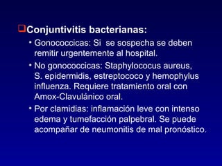 Conjuntivitis bacterianas:
• Gonococcicas: Si se sospecha se deben
remitir urgentemente al hospital.
• No gonococcicas: Staphylococus aureus,
S. epidermidis, estreptococo y hemophylus
influenza. Requiere tratamiento oral con
Amox-Clavulánico oral.
• Por clamidias: inflamación leve con intenso
edema y tumefacción palpebral. Se puede
acompañar de neumonitis de mal pronóstico .

 