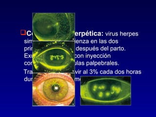Conjuntivitis herpética: virus herpes
simple tipo 2. Comienza en las dos
primeras semanas después del parto.
Exudación serosa con inyección
conjuntival y vesículas palpebrales.
Tratamiento: aciclovir al 3% cada dos horas
durante los tres primeros días.

 