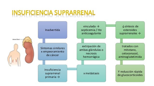 Urgencias oncologicas Urgencias oncologicas